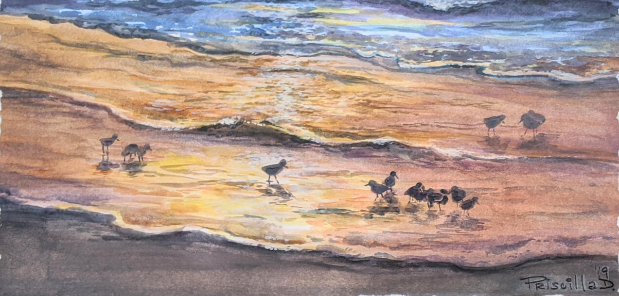 Sandpipers on Sunset Beach