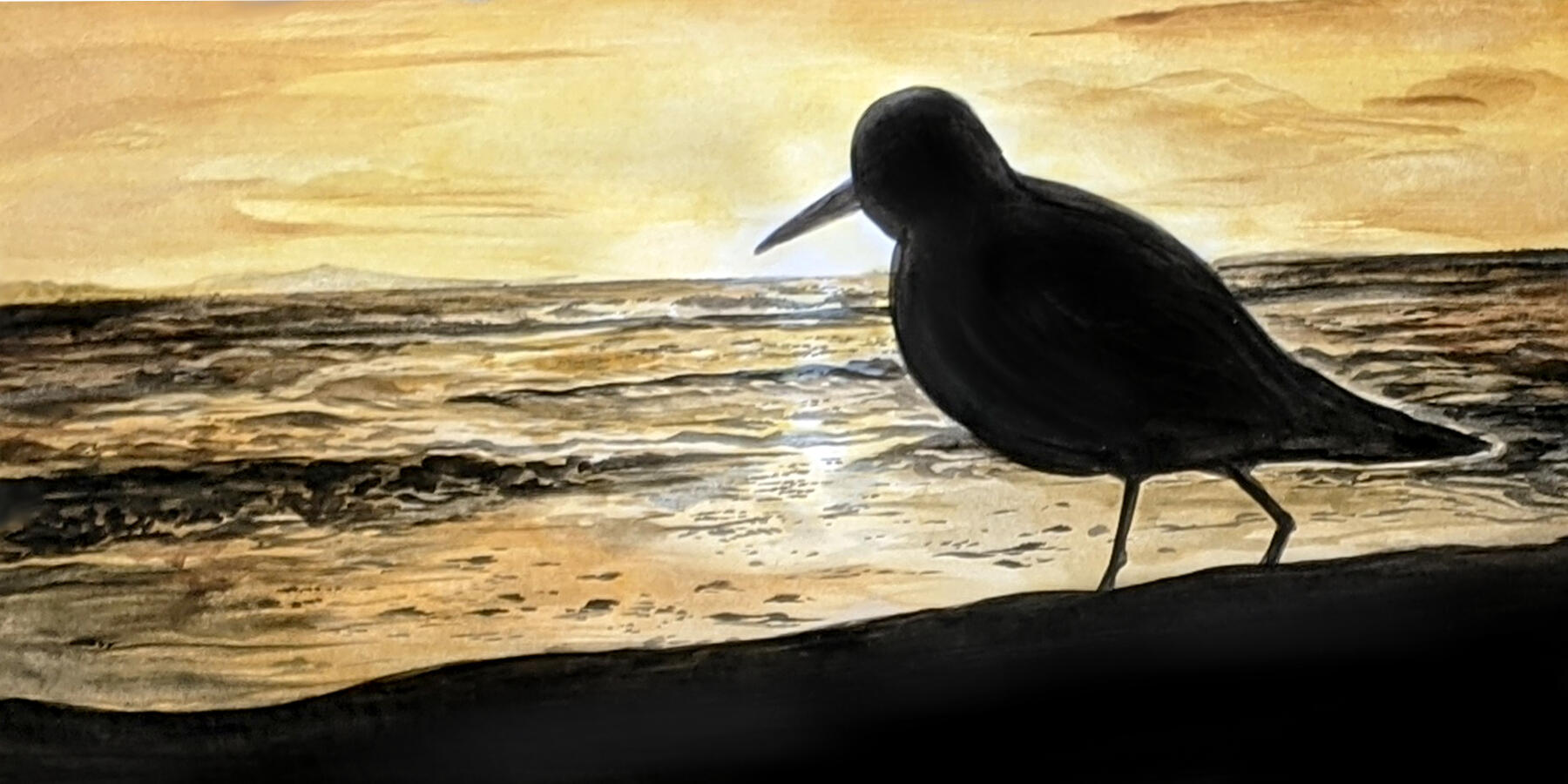 Sandpiper Silhouette
