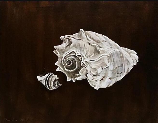 Small conchs in Brown