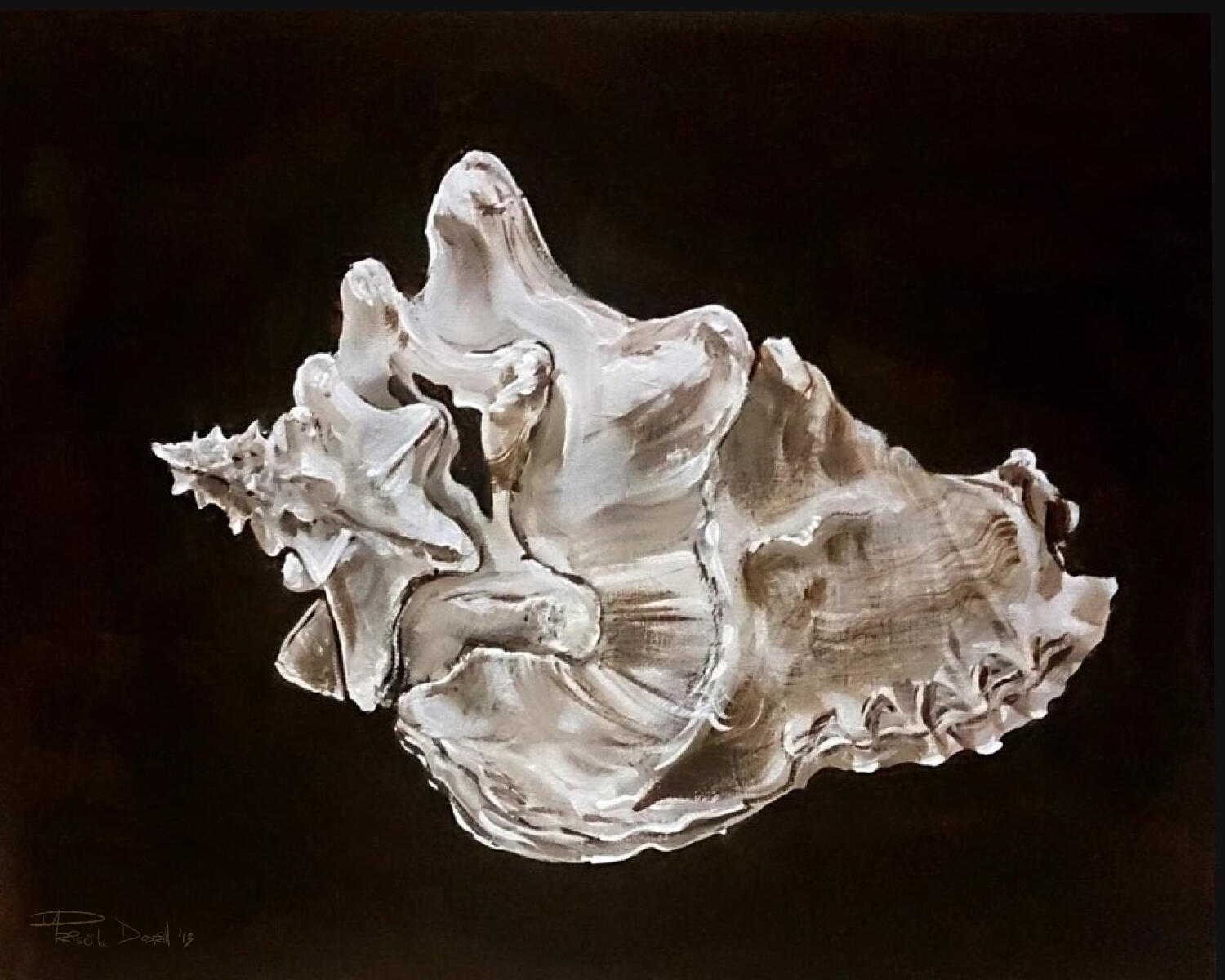 Queen Conch in Brown