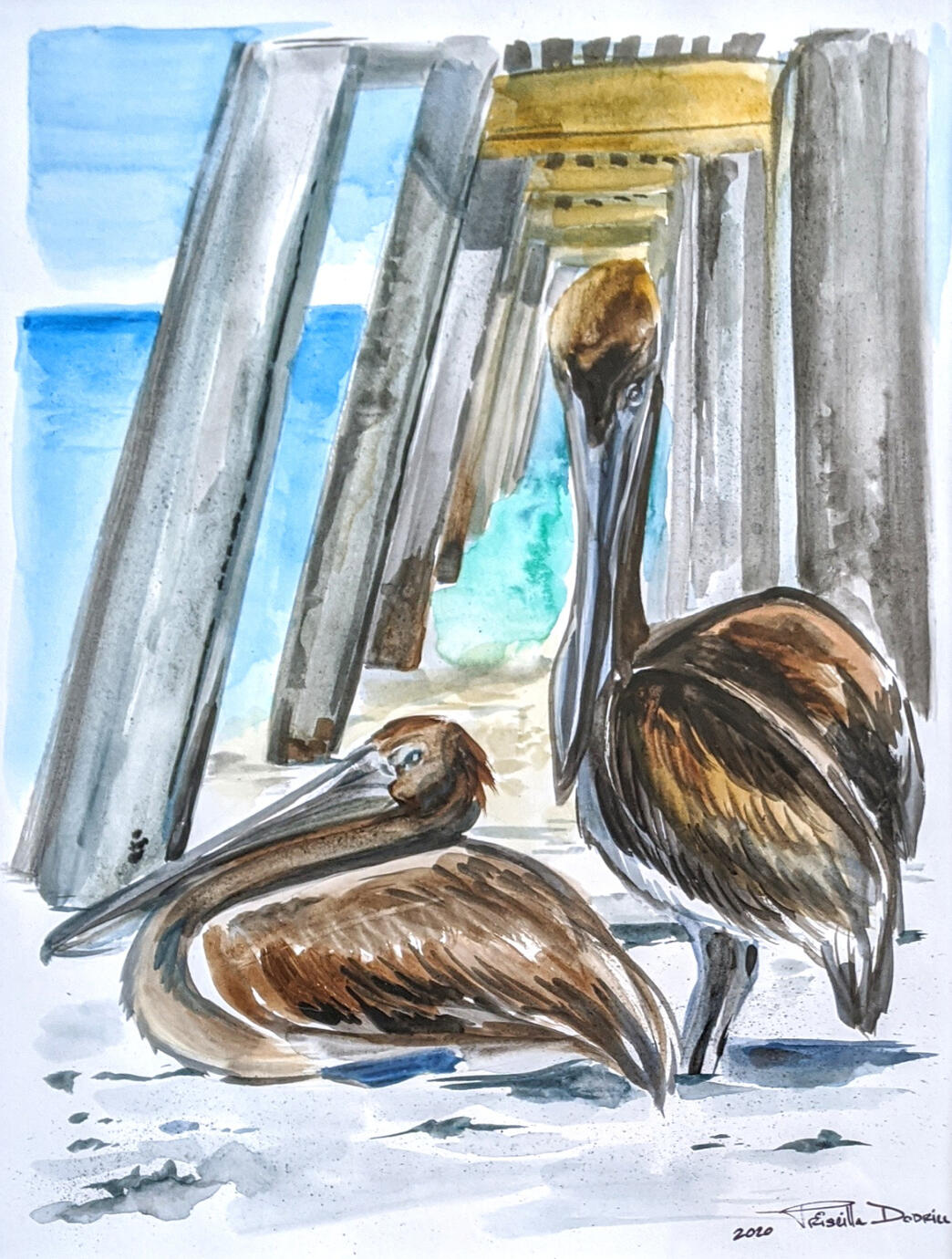 Pelicans at Naples Pier